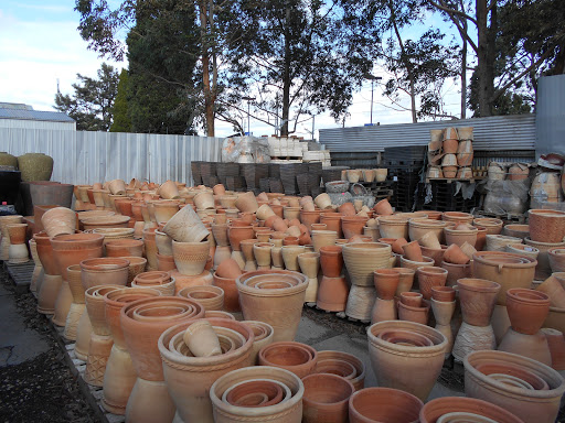 Pots Center - Visual