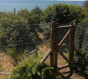 Photo n°5 de Seve &Source à Talmont-Saint-Hilaire (Entreprise de terrassement)