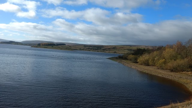Cocklet Hill Car Park - Gisburn Forest