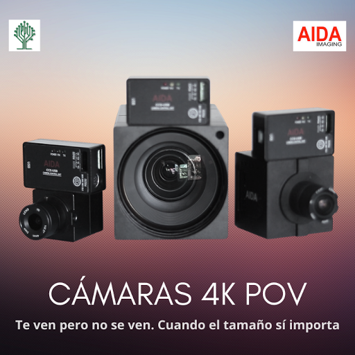 AV.COMPANY - Visual