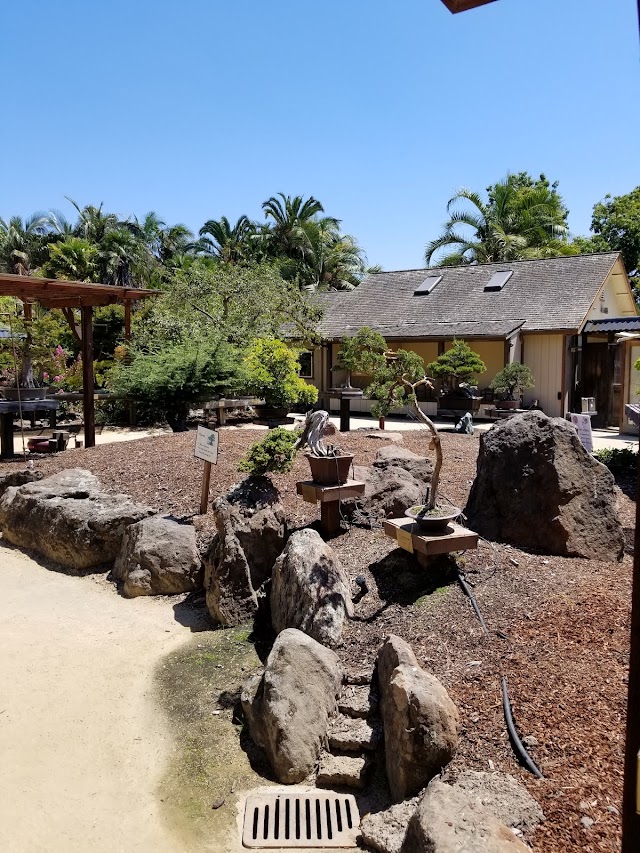 Bonsai Garden at Lake Merritt