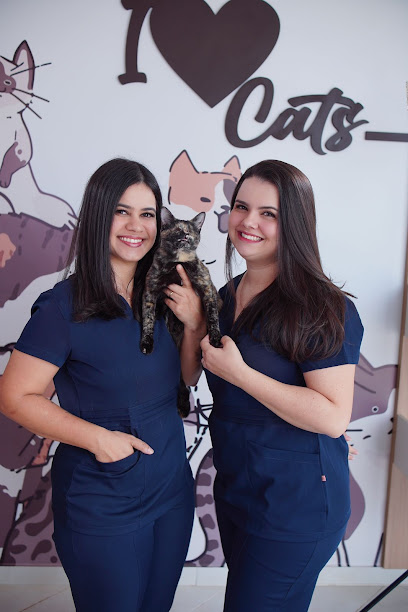 Felinos Medicina Veterinária Catanduva