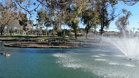 Photo 3 de TeWinkle Park from Videos