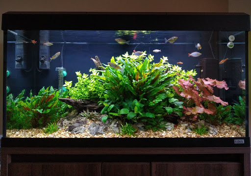 Sedgley Road Aquarium - Thumbnail
