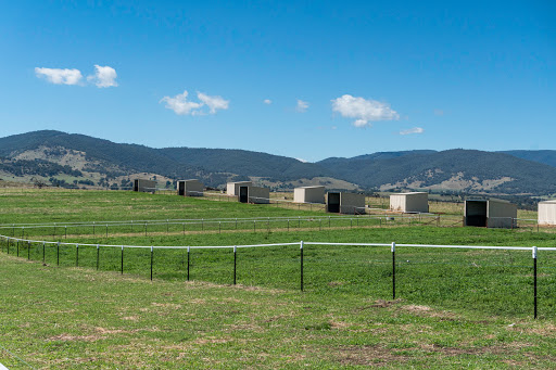 Yackandandah Park - Thumbnail