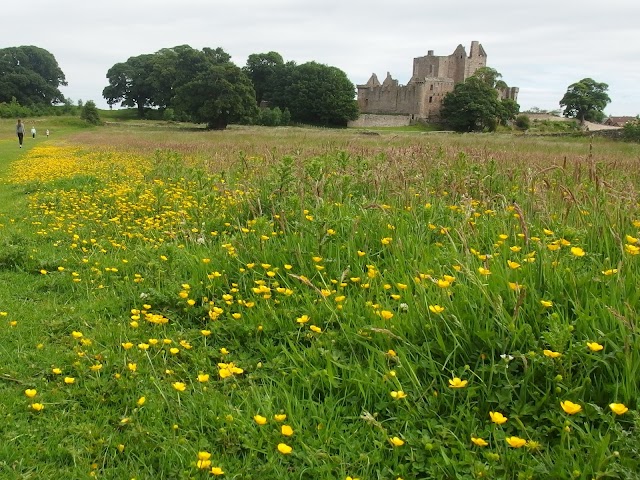 Craigmillar Castle