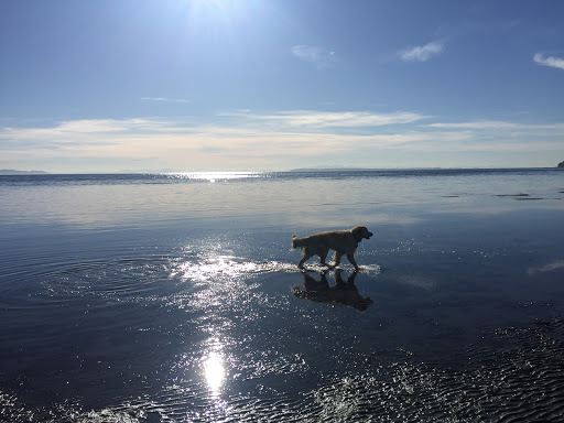 Semiahmoo First Nation - Thumbnail