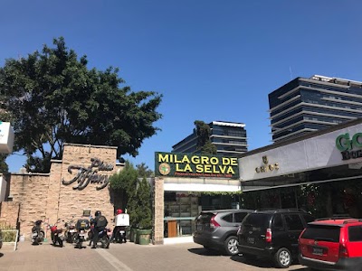 Photos of Milagro de la Selva, S.A.