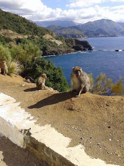 Photos of Centre de vacances Sonatrach