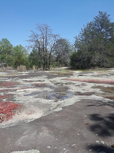 Clover Community Park