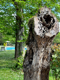 Photo n°72 de Côté Park à Givry (Chambre d'hôtes)