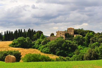 Montepulciano Wine Tours