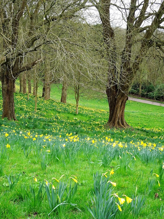 Waddesdon Manor