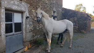 Photo n°11 de Le Nichoir à Essarts-en-Bocage (Chambre d'hôtes)