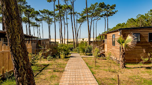 Photo n°1 de Camping Le Vieux Port - Landes à Messanges (Terrain de camping)