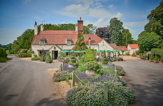 Pipe and Glass by null