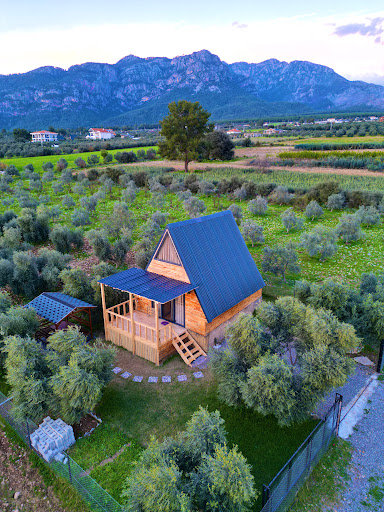 WEST BUNGALOV