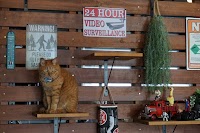 株式会社 アルバロッサカーズ