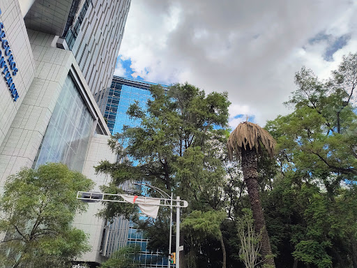 Seguros Monterrey New York Life & Advisory - Thumbnail