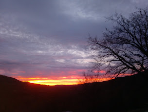 Photo n°6 de Mas du Trianon à Les Plans (Hébergement d'intérieur)