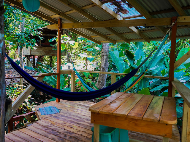 Flutterby House by null