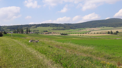 Stephan Möller