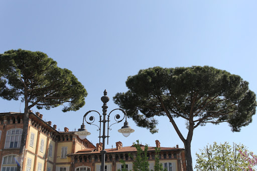 Check Point Pisa - Thumbnail