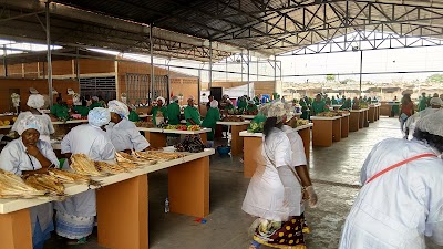 Photos of Fish market (Mabunda)