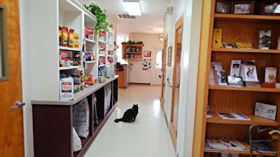 All Pets Veterinary Medical Center