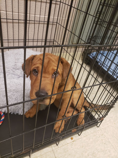 Humane Society of Warren County