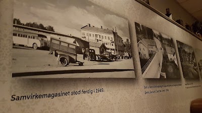Photos of Milano Elverum