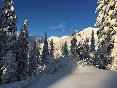 Flathead National Forest