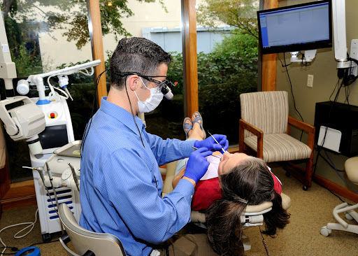 Fox Dental - Visual