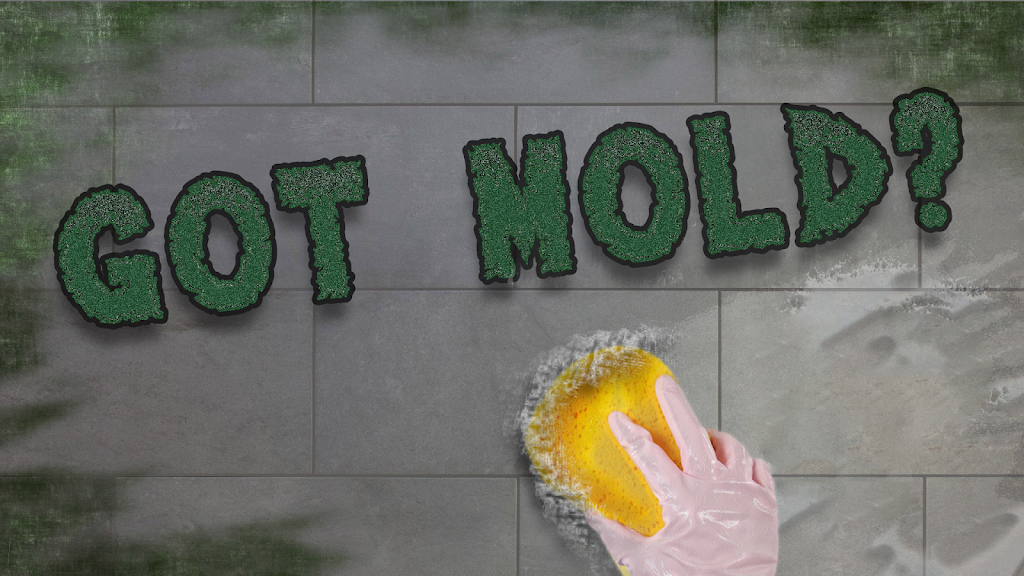 Mold Clean Pro photo
