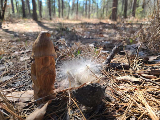 Turkey Creek Trail South Parking Lot - Thumbnail