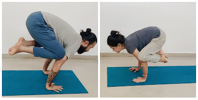 Naksh Yoga – By owner in Anand, Gujarat