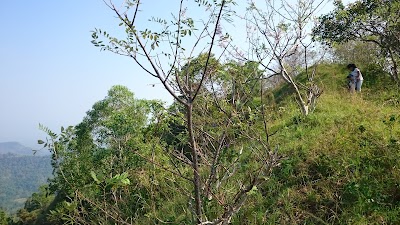 Photos of Gunung Gede