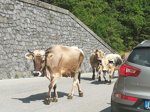 Monte Cavallo - Visual
