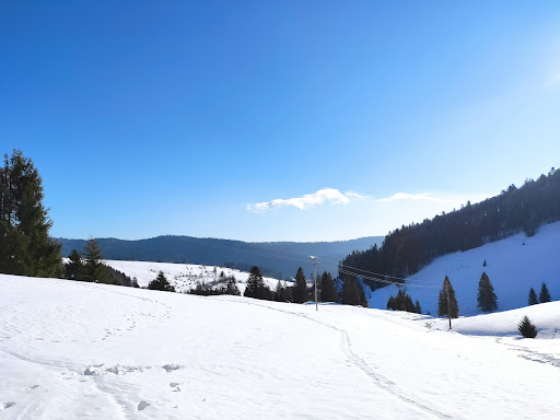 Parkplatz Waldhotel Auerhahn - Thumbnail