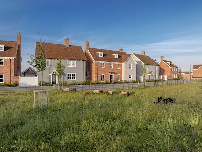 Manningtree Park | City & Country