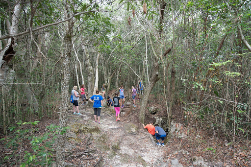Camp Owaissa Bauer