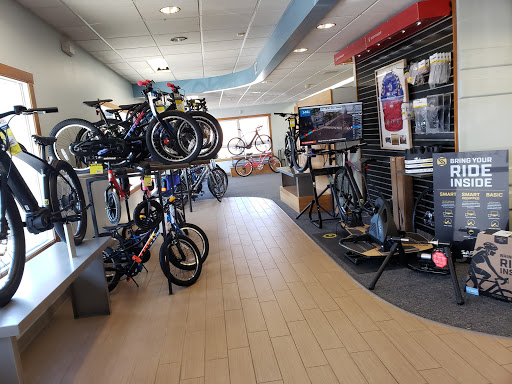 Vitesse Cycle Shop Gallery - United States