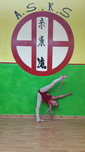 PALESTRA A.S.K.S. - Visual