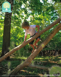 Photo n°2 de Studio Adagio à Bruyères (Agence de marketing)