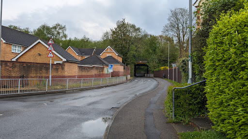 Rogerstone Library - Visual