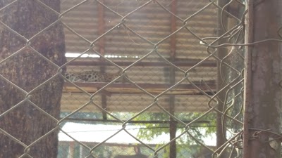 Photos of Banbatika Zoo