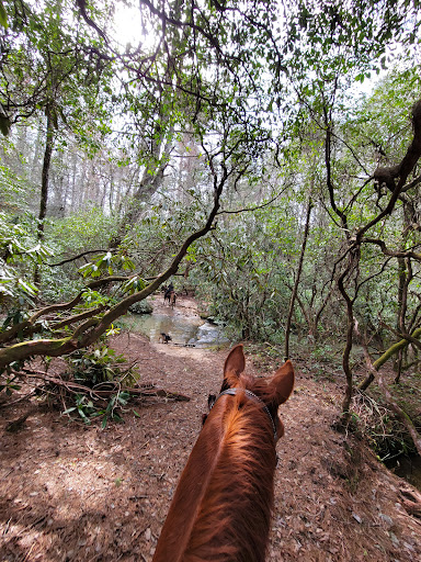 Whetstone Horse Campground Gallery - United States