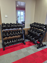 Photo n°2 de FRANCAIS LISE - DRAGONFLY COACHING à Souvans (Coach particulier)