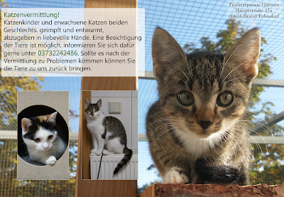 Photos of Tierarztpraxis G&auml;rtner in Brand-Erbisdorf