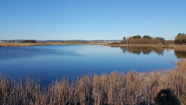 Machynys Peninsula Golf and Country Club